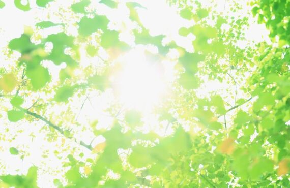 福島県で駐車場の土間工事をお考えなら当社にお任せ｜（株）ファインズガーデン